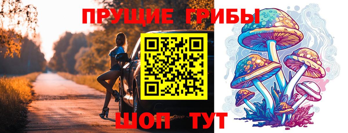 Галлюциногенные грибы Psilocybe Светлоград
