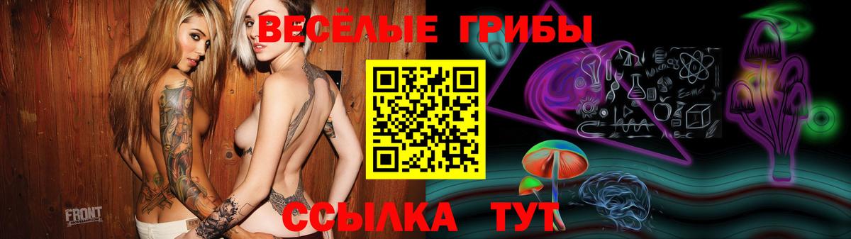 Светлоград  Галлюциногенные грибы ЛСД  цены   Псилоцибиновые грибы Magic Shrooms  Вход с VPN 