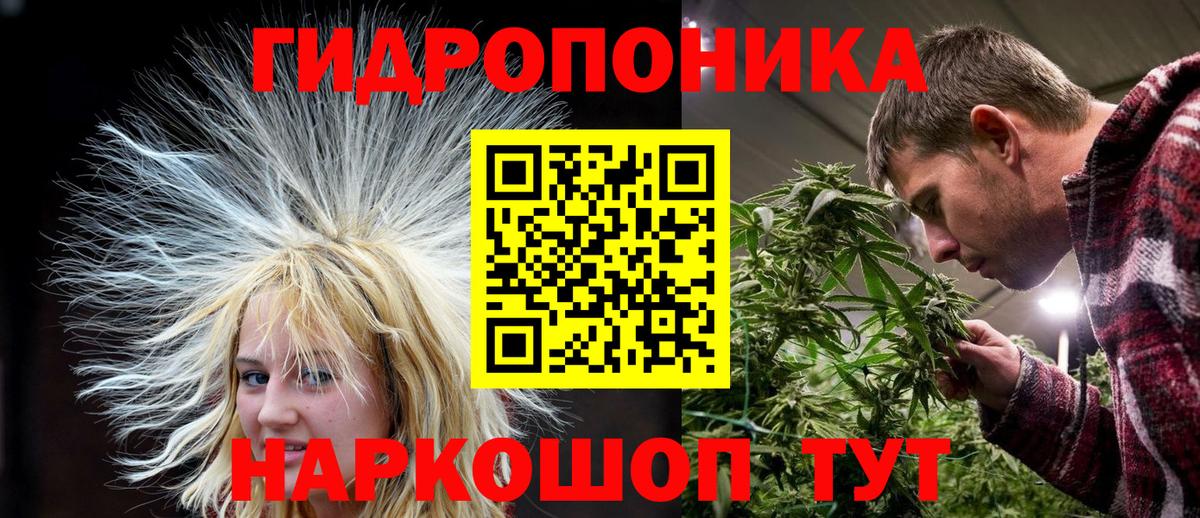Марихуана план Светлоград